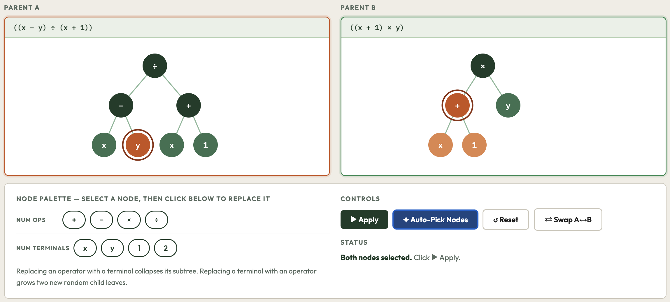 Evolutionary Programming Representations preview