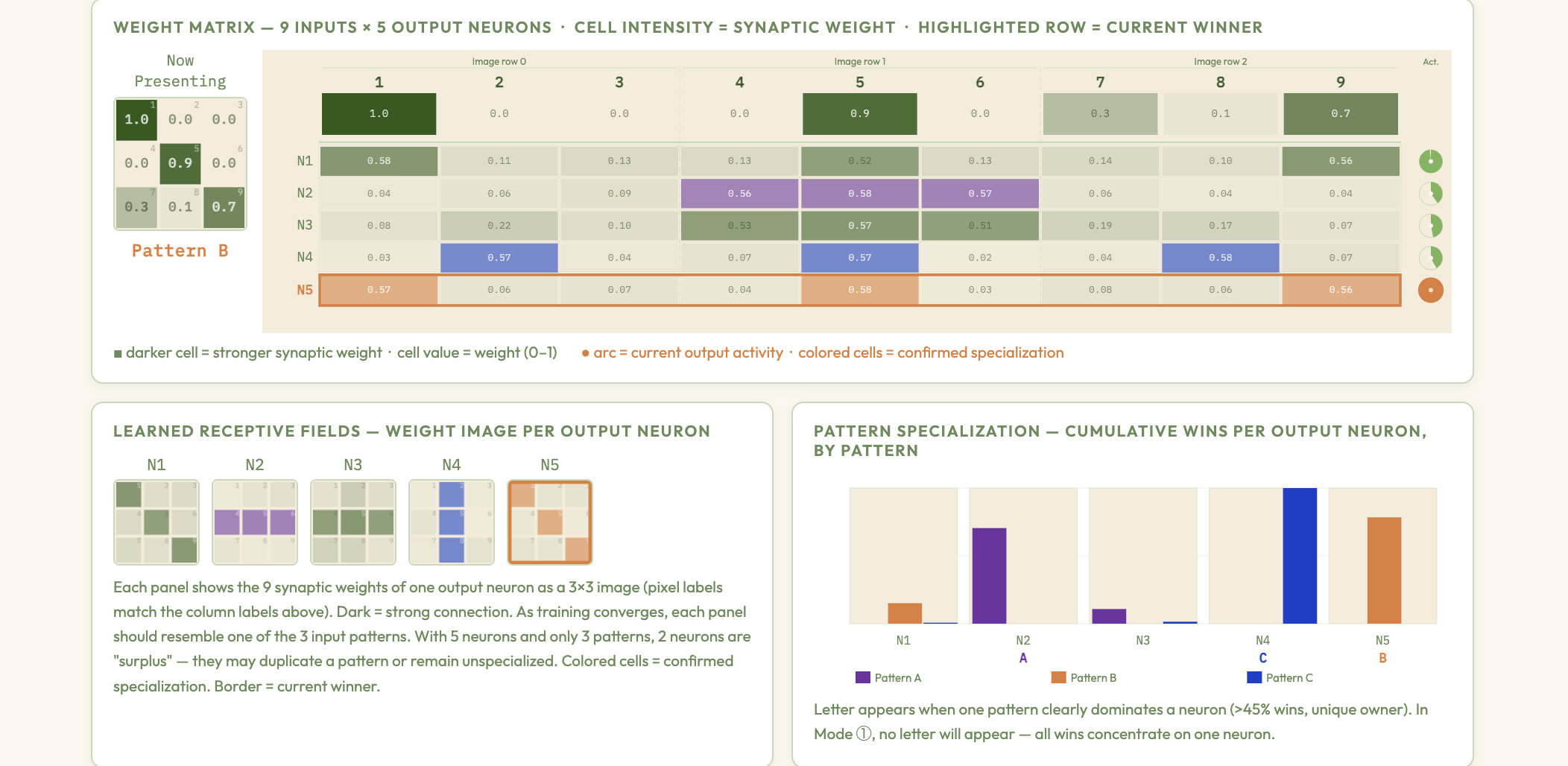 Hebbian Competitive Clustering preview
