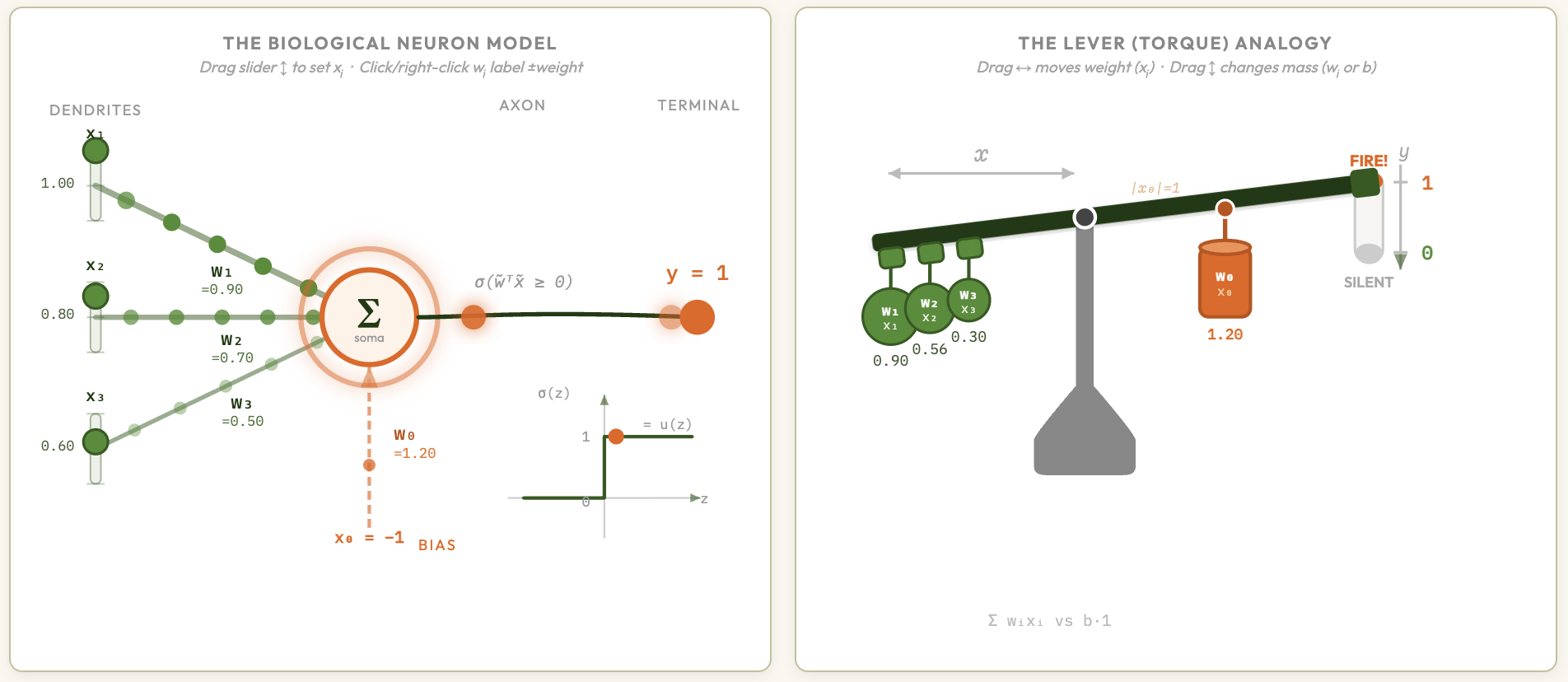 Single-Layer Perceptron explainer preview